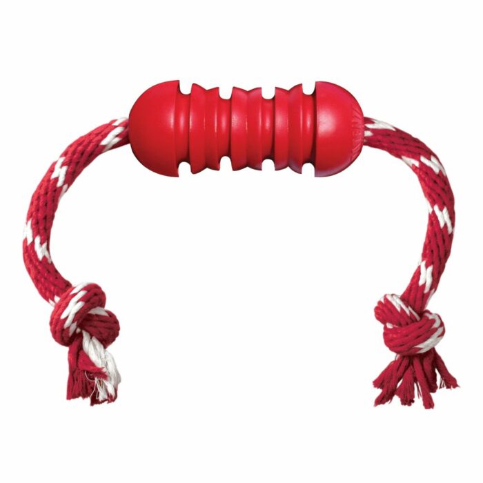 KONG <br> Dental Toy With Rope