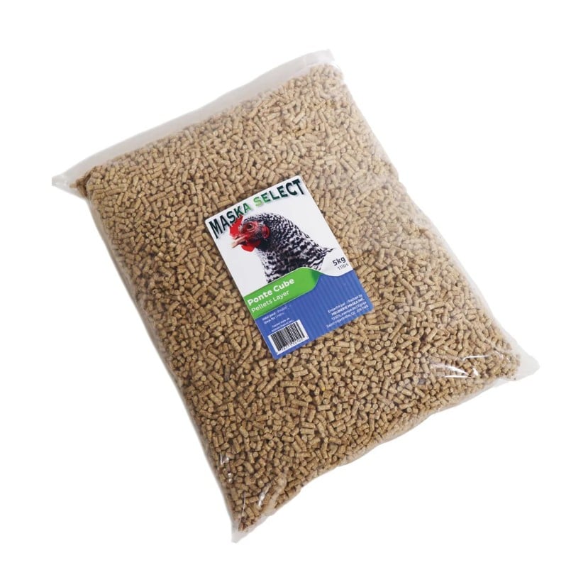 LAYER CUBE 5kg